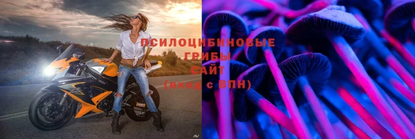 ешки Гусиноозёрск