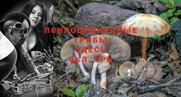 ешки Гусиноозёрск